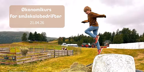\u00d8konomidag for sm\u00e5skalabedrifter