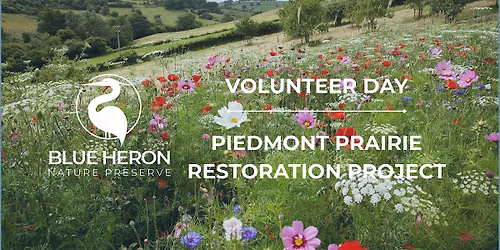 Prairie and Meadow Restoration - Volunteer Day