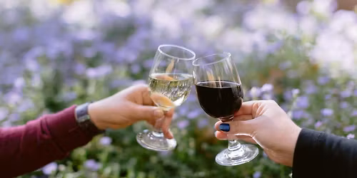 An Evening of Trillium and Wine: Complementary Pairings