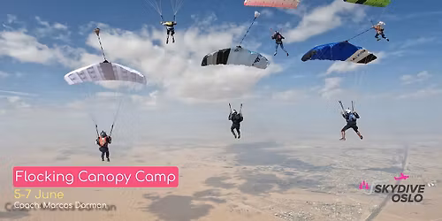 Flocking Canopy Camp