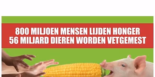 Plenty Food vegan charity buffet