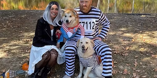 CODA Pup-A-Ween