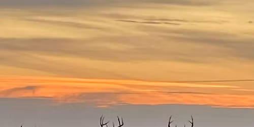 DMU 110 CDAC spring meeting 