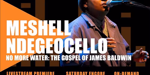 Meshell Ndegeocello at SF Jazz Center - Miner Auditorium