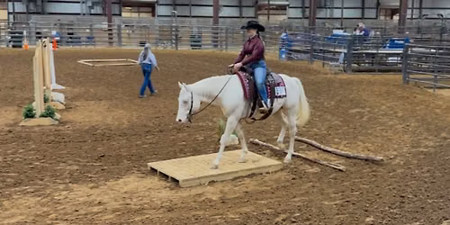 2Q Ranch Productions Ranch Versatility Schooling Show #2