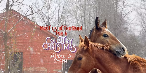 Country Christmas with the Foals