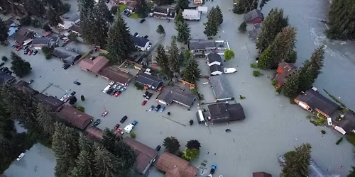 Parking House of Harm (18+)