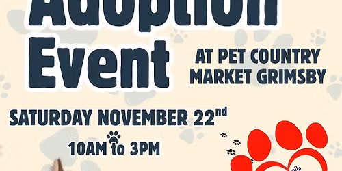 PCM Grimsby Cat Adoption With Beamsville4paw Rescue