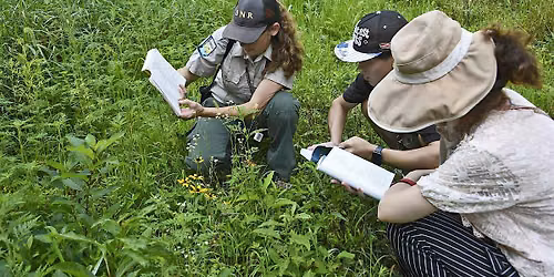 Flora Field Day: Moores Creek SRA