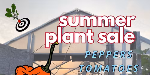FRESH New London HUGE Summer Plant Sale