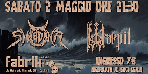 Shardana + Warpit live @Fabrik