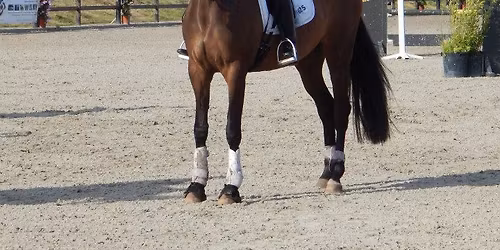 Wedstrijdgerichte Trainingsdag Woutershof 