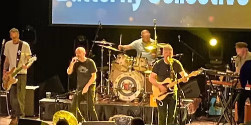 Butterfly Collective 