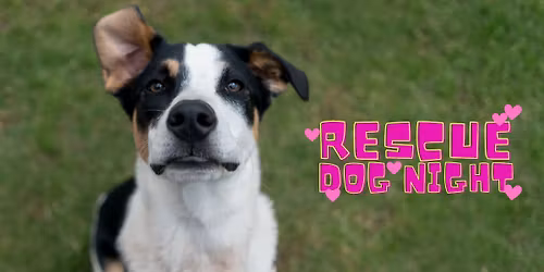 Rescue Dog Night