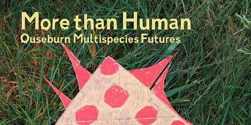 More than Human: Ouseburn Multispecies Futures