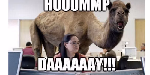 Hump Day House Party