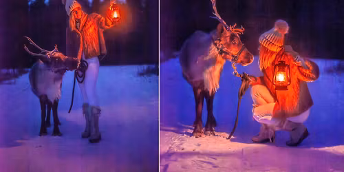 \ud83e\udd8c\u2728 Reindeer Magic in Waunakee! \u2728\ud83e\udd8c