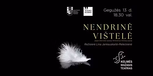 NENDRIN\u0116 VI\u0160TEL\u0116. Kelm\u0117s ma\u017eojo teatro spektaklis ir diskusija