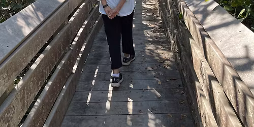 Forest Bathing at Rookery Bay Nature Center