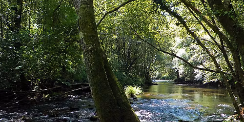 Balade Nature - Découvrez la végétation de nos rivières !