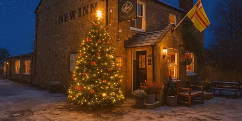 Christmas Tree Light Up \ud83c\udf84