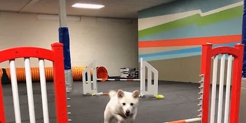 Get Ready to Trial in Agility: A seminar