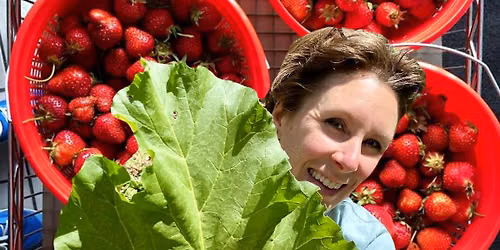 Strawberry Rhubarb Ice Cream Release