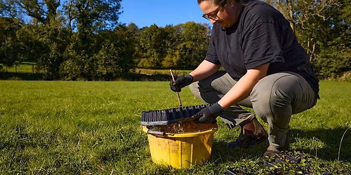 Wildflower Plug Planting