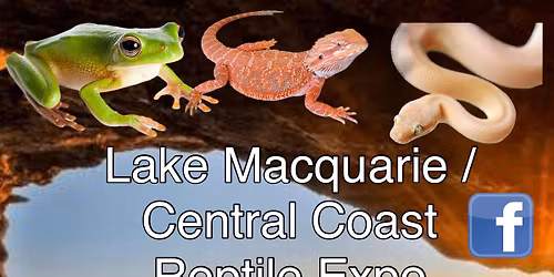 Lake Macquarie \/ Central Coast Reptile