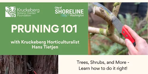 Pruning 101
