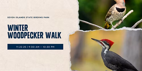 Winter Woodpecker Walk