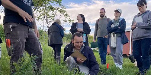 Greens Galore - Mid-Spring Foraging Walk