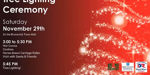 Brunswick Tree Lighting Ceremony