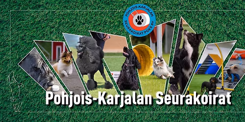 Virallinen TOKOKOE 14.3.26 hallissa