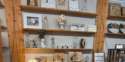 DRIFTWOOD\/SHELL LIGHT UP TREE