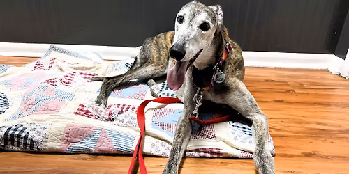 Meet & Greet: New Braunfels 