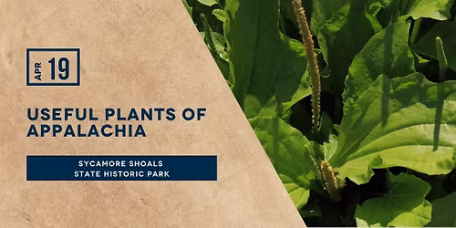 Useful Plants of Appalachia Hike