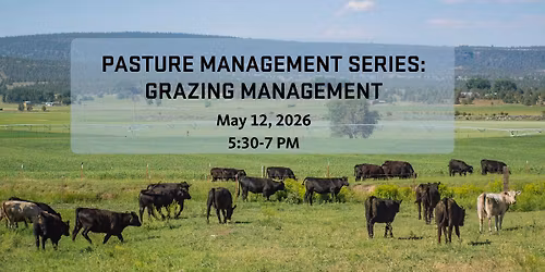 Pasture Management Series: Grazing Management