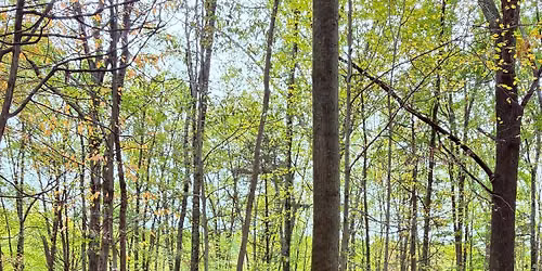 Story Hike at Woodcock Nature Center