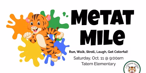 Metat Mile Color Run