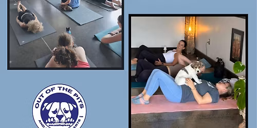 Puppy Yoga at Capital Athletics