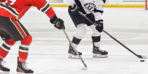 Union College Garnet Chargers at Harvard Crimson Mens Ice Hockey at Bright-Landry Hockey Center