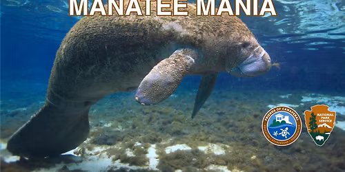 Manatee Talk