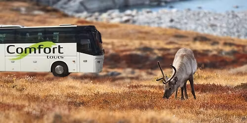 Gratis bustransport Odense-KBH t\/r