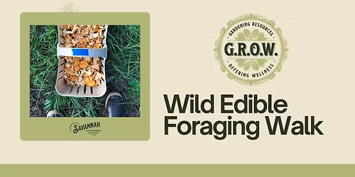 Wild Edible Foraging Walk