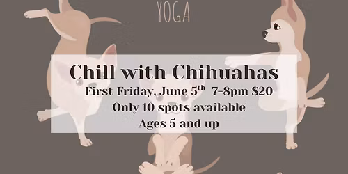 Chill with Chihuahuas (Yoga event)