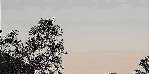 Lunar Alchemy: Full Moon in Libra | Cosmic Roots