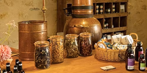 ATELIER DISTILLATION D\u2019EAU FLORALE AVEC MELISSANE