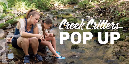 Creek Critters Pop-Up