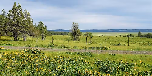 Big Summit Prairie Field Trip